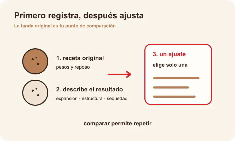 Diagrama de una tanda de referencia con registro, observación y un solo ajuste.